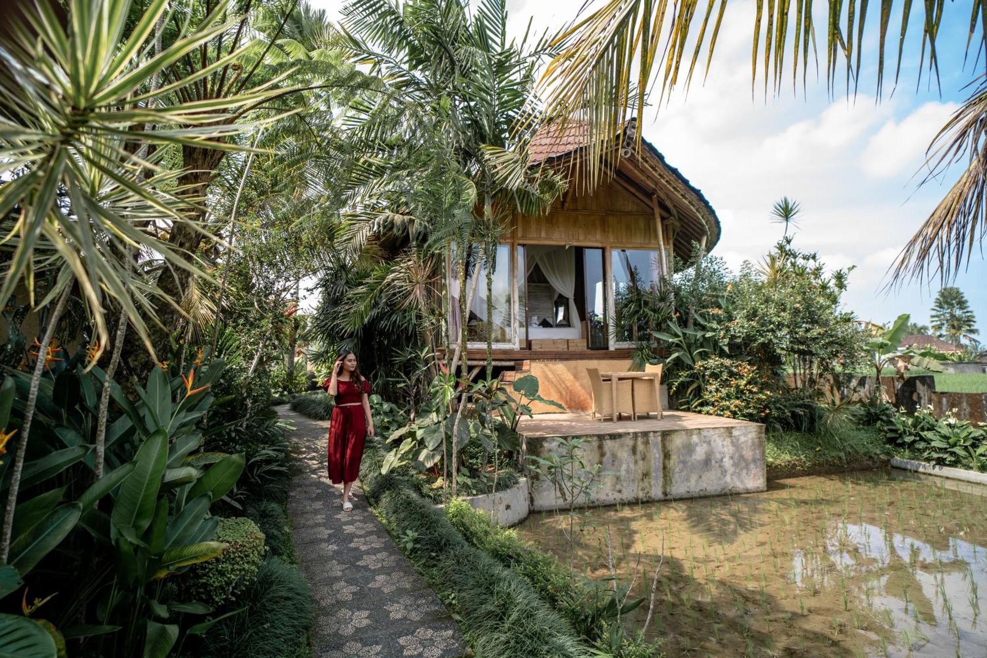 Padi Bali Retreat Hotel Payangan Exterior foto